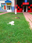 2012-08-03_19-05-40_2012-08-03-19.05.40.jpg
