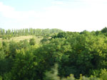 2012-08-04_19-05-38_P1100273.jpg