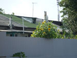 2012-08-06_17-14-35_P1100501.jpg