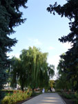 2012-08-07_17-57-58_P1100575.jpg