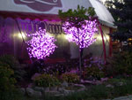 2012-08-07_20-06-46_P1100669.jpg