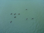 2012-08-08_19-42-42_P1100740.jpg