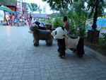 2012-08-08_19-49-23_P1100751.jpg