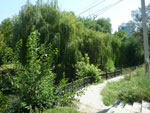 2012-08-10_12-54-48_P1100905.jpg