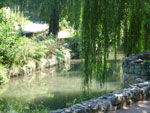 2012-08-10_12-57-32_P1100913.jpg