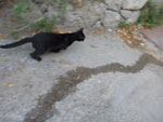 2012-08-11_18-20-16_P1100996.jpg