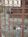 2012-08-12_17-16-12_P1110076.jpg