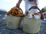 2012-08-12_18-02-05_P1110093.jpg