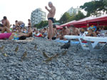 2012-08-12_18-02-23_P1110094.jpg
