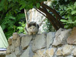 2012-08-14_13-36-20_P1110217.jpg
