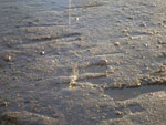 2012-08-15_19-24-46_P1110299.jpg
