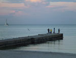 Photos