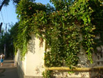 2012-08-19_18-47-01_P1110451.jpg