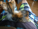 2012-08-20_17-25-56_P1110467.jpg