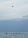 2012-08-21_19-39-56_P1110530.jpg