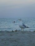 2012-08-21_19-41-31_P1110535.jpg