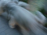 2012-08-21_20-03-00_P1110547.jpg