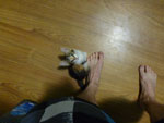 2012-08-21_20-39-52_P1110557.jpg