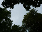 2012-08-24_16-15-03_P1110681.jpg
