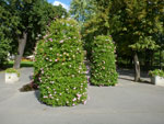 2012-08-25_16-15-52_P1110714.jpg