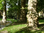 2012-08-25_16-29-17_P1110724.jpg