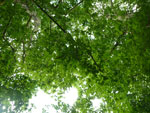 2012-08-25_16-33-27_P1110726.jpg