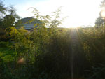2012-08-25_18-52-01_P1110832.jpg