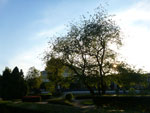 2012-08-25_18-52-35_P1110834.jpg