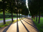2012-08-25_18-58-28_P1110838.jpg
