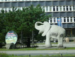 2012-08-26_12-16-57_P1110875.jpg