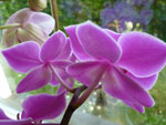 2012-09-01_16-40-31_P1110896.jpg