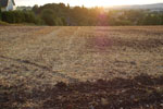 2012-09-01_19-24-53_DSC_6217.jpg