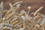 2012-09-01_19-31-22_DSC_6236.jpg