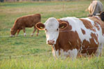 2012-09-01_19-32-09_DSC_6237.jpg