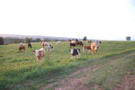 2012-09-01_19-32-56_DSC_6243.jpg