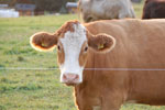 2012-09-01_19-33-44_DSC_6253.jpg