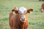 2012-09-01_19-34-16_DSC_6258.jpg