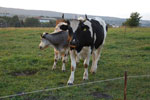 2012-09-01_19-35-04_DSC_6266.jpg