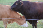 2012-09-01_19-36-08_DSC_6284.jpg