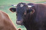 2012-09-01_19-36-21_DSC_6286.jpg