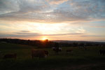 2012-09-01_19-42-55_DSC_6306.jpg