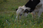 2012-09-01_19-45-51_DSC_6322.jpg