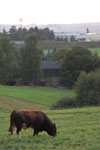2012-09-01_19-48-59_DSC_6345.jpg