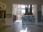 Photos