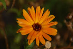 2012-09-09_16-09-51_DSC_6380.jpg