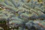 2012-09-09_16-10-59_DSC_6382.jpg
