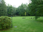 2012-09-13_13-00-16_P1120321.jpg