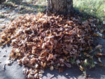 2012-09-22_17-14-52_2012-09-22-17.14.52.jpg