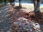 2012-09-22_17-15-01_2012-09-22-17.15.01.jpg