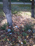 2012-09-27_14-57-08_2012-09-27-14.57.08.jpg